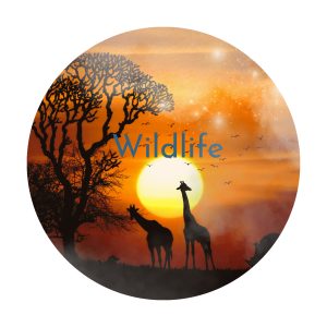 Wildlife