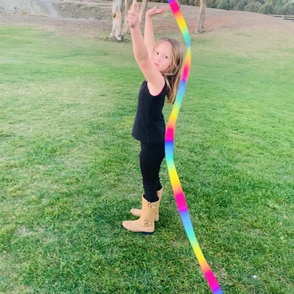 Rainbow Dancing Ribbon Wand
