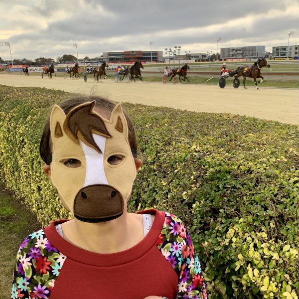 Harley Horse Facemask